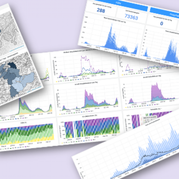 Boost bei der Datenvisualisierung dank COVID-19