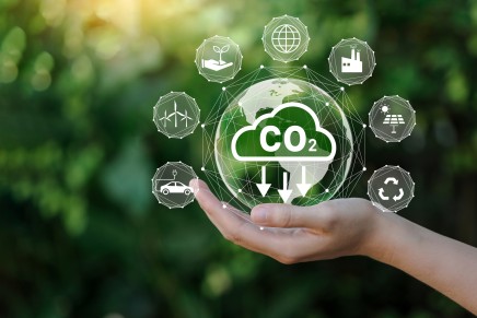 CO₂-Netto-Null: Unser Weg in die nachhaltige Zukunft