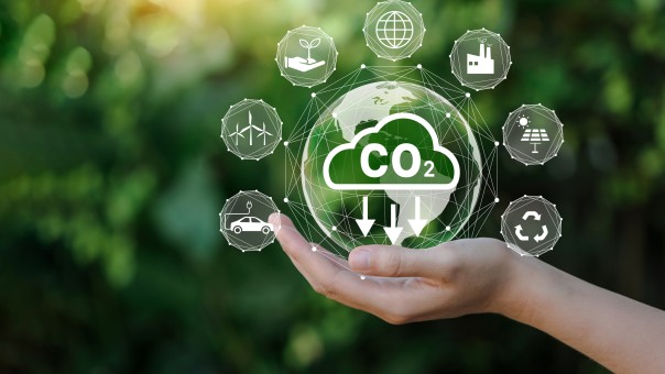 CO₂-Netto-Null: Unser Weg in die nachhaltige Zukunft