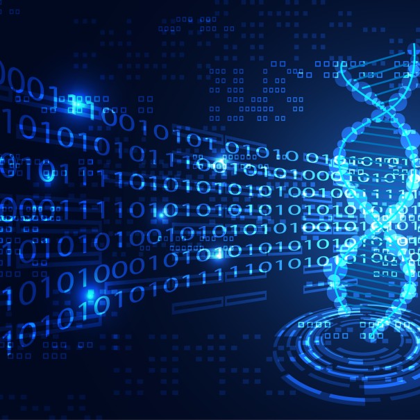 Sicherheit ist Teil der DNA der Bedag