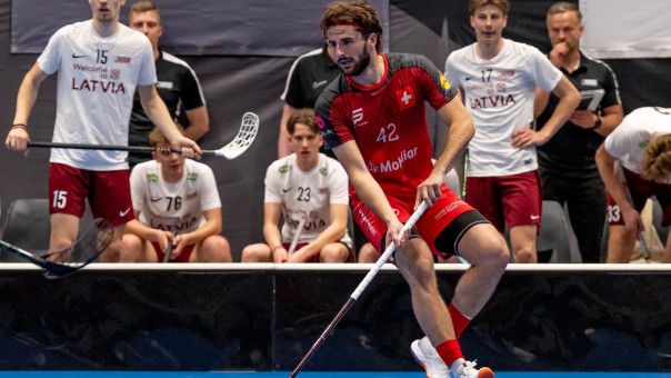 På väg till Sverige