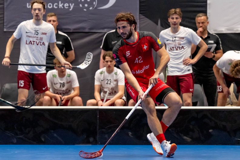 På väg till Sverige