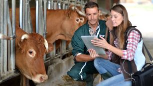 ACmobile // Clôturer les contrôles sur place par voie électronique